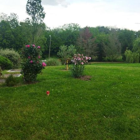 Chambre Avec Entree Independante Dans Un Ecrin De Verdure Dommartin  Екстер'єр фото
